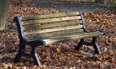 16-05-2021: Een bankje in het park