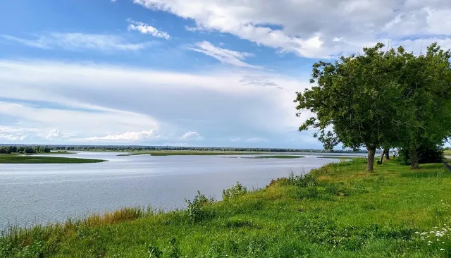 Max Violier – Het eiland van verlangen