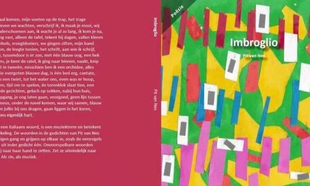 Pit van Nes – Imbroglio