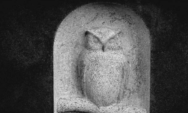 Luuk den Hartog – Wachtkamer